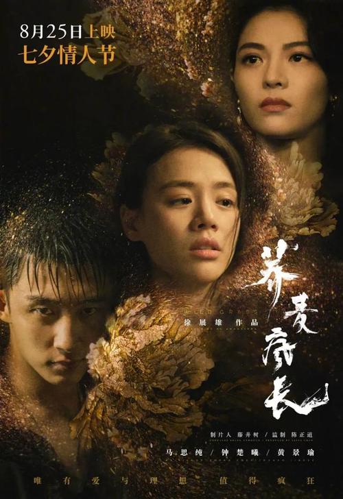 摩尔多瓦驾照样本照片